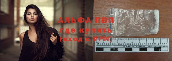 стафф Надым
