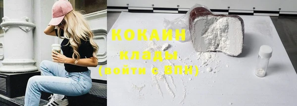 стафф Надым