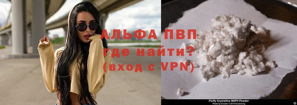 стафф Надым
