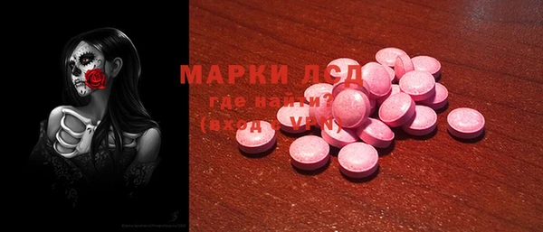 стафф Надым
