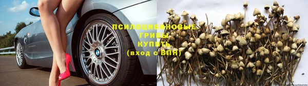 стафф Надым